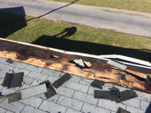 Proof of why you do not shingle a low slope roof and the start of the TPO install .... it was necessary to remove the botton 18 inches of the rotted plywood
